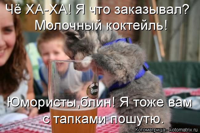 Чё ХА-ХА! Я что заказывал? Молочный коктейль! Юмористы,блин! Я тоже вам с тапками пошутю.... Котоматрица: Чё ХА-ХА! Я что заказывал? Молочный коктейль! Юмористы,блин! Я тоже вам с тапками пошутю.