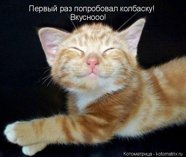 Первый раз попробовал колбаску! Вкуснооо!... Котоматрица: Первый раз попробовал колбаску! Вкуснооо!