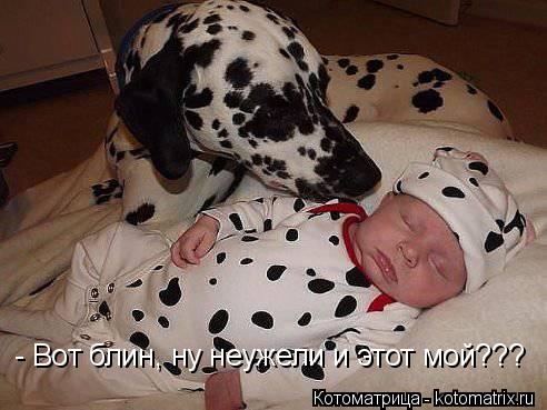 Котоматрица: - Вот блин, ну неужели и этот мой???