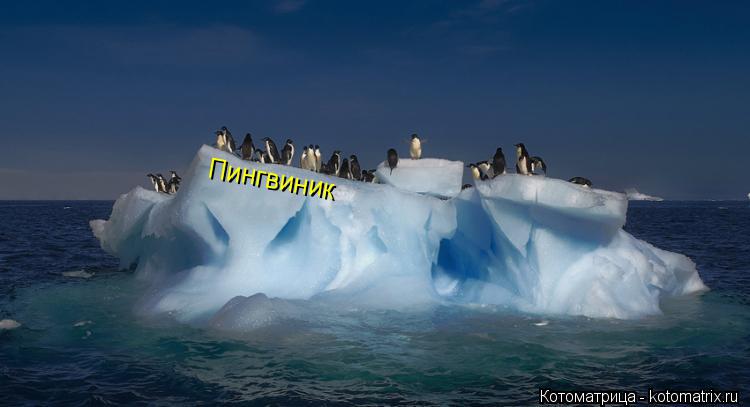Пингвиник... Котоматрица: Пингвиник