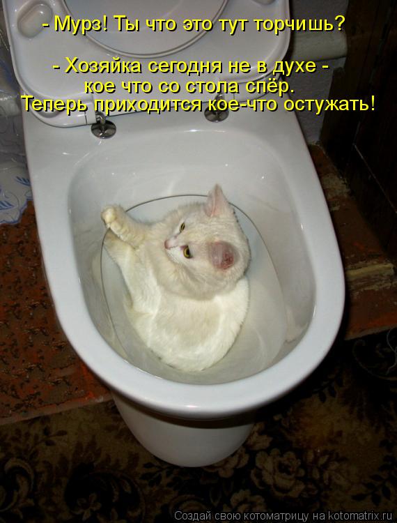 - Мурз! Ты что это тут торчишь? - Хозяйка сегодня не в духе - кое что со стола спёр. Теперь приходит... Котоматрица: - Мурз! Ты что это тут торчишь? - Хозяйка сегодня не в духе - кое что со стола спёр. Теперь приходится кое-что остужать!