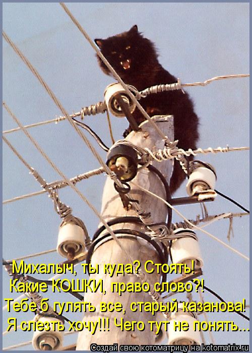Михалыч, ты куда? Стоять! Какие КОШКИ, право слово?! Тебе б гулять все, старый казанова! Я слезть хоч... Котоматрица: Михалыч, ты куда? Стоять! Какие КОШКИ, право слово?! Тебе б гулять все, старый казанова! Я слезть хочу!!! Чего тут не понять...
