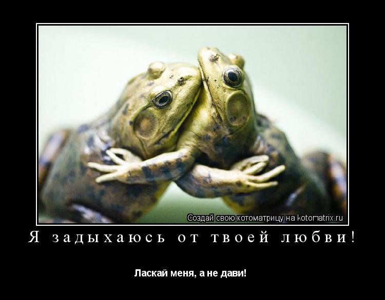 Я задыхаюсь от твоей любви! Ласкай меня, а не дави! ... Котоматрица: Я задыхаюсь от твоей любви! Ласкай меня, а не дави!