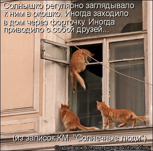 приводило с собой друзей... в дом через форточку. Иногда (из записок КМ. "Солнечные люди") Солнышко ... Котоматрица: приводило с собой друзей... в дом через форточку. Иногда (из записок КМ. "Солнечные люди") Солнышко регулярно заглядывало к ним в окошко. Иног