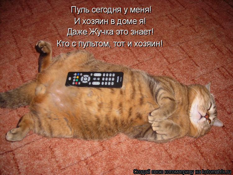 Пуль сегодня у меня! Даже Жучка это знает! И хозяин в доме я! Кто с пультом, тот и хозяин!... Котоматрица: Пуль сегодня у меня! Даже Жучка это знает! И хозяин в доме я! Кто с пультом, тот и хозяин!