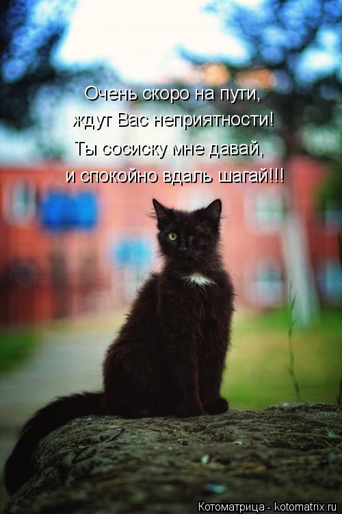 Очень скоро на пути, ждут Вас неприятности! Ты сосиску мне давай, и спокойно вдаль шагай!!!... Котоматрица: Очень скоро на пути, ждут Вас неприятности! Ты сосиску мне давай, и спокойно вдаль шагай!!!