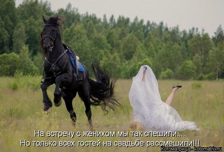 Но только всех гостей на свадьбе рассмешили!!! На встречу с женихом мы так спешили....... Котоматрица: Но только всех гостей на свадьбе рассмешили!!! На встречу с женихом мы так спешили....