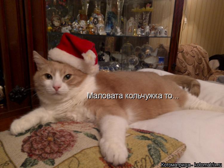Маловата кольчужка то...... Котоматрица: Маловата кольчужка то...