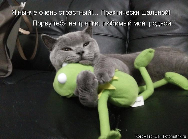 Я нынче очень страстный!... Практически шальной! Порву тебя на тряпки, любимый мой, родной!!... Котоматрица: Я нынче очень страстный!... Практически шальной! Порву тебя на тряпки, любимый мой, родной!!