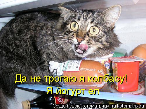Котоматрица: Да не трогаю я колбасу! Я йогурт ел