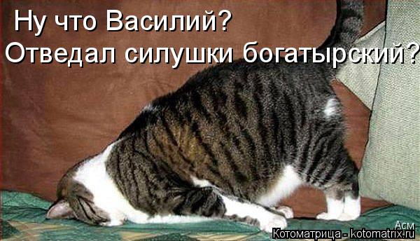 Котоматрица: Ну что Василий? Отведал силушки богатырский? Асм.