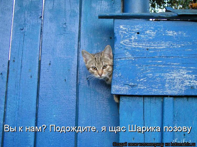 Вы к нам? Подождите, я щас Шарика позову... Котоматрица: Вы к нам? Подождите, я щас Шарика позову