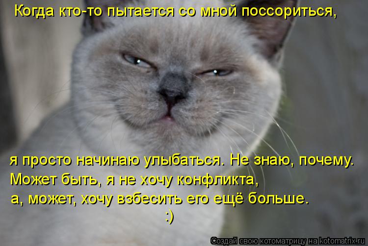 Котоматрица: Когда кто-то пытается со мной поссориться, я просто начинаю улыбаться. Не знаю, почему. Может быть, я не хочу конфликта, а, может, хочу взбесит