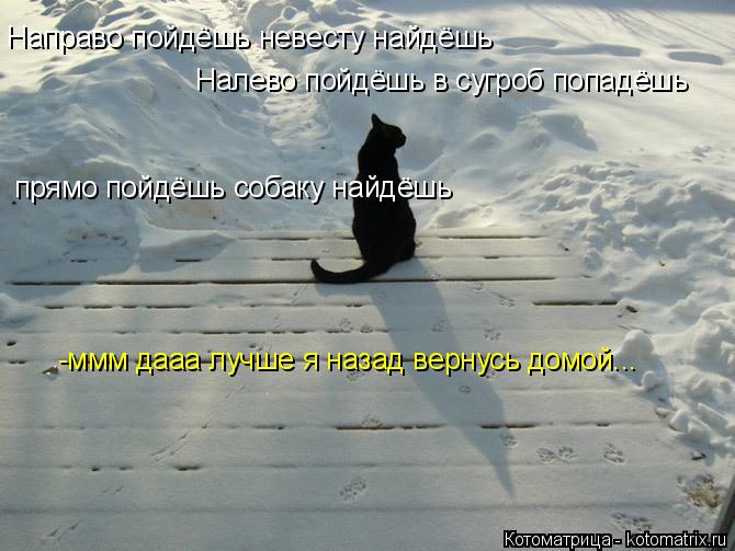 Направо пойдёшь невесту найдёшь Налево пойдёшь в сугроб попадёшь прямо пойдёшь собаку найдёшь -мм... Котоматрица: Направо пойдёшь невесту найдёшь Налево пойдёшь в сугроб попадёшь прямо пойдёшь собаку найдёшь -ммм дааа лучше я назад вернусь домой...