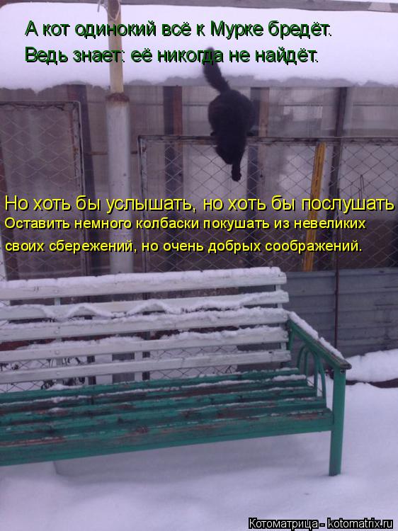 Котоматрица: А кот одинокий всё к Мурке бредёт. Но хоть бы услышать, но хоть бы послушать Ведь знает: её никогда не найдёт. своих сбережений, но очень добр