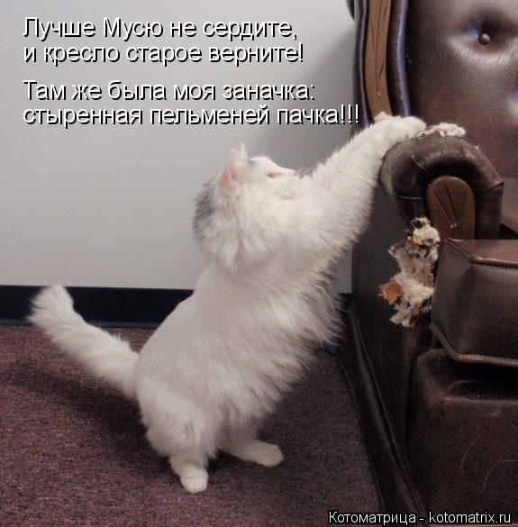 Котоматрица: Лучше Мусю не сердите,   и кресло старое верните! Там же была моя заначка: стыренная пельменей пачка!!!