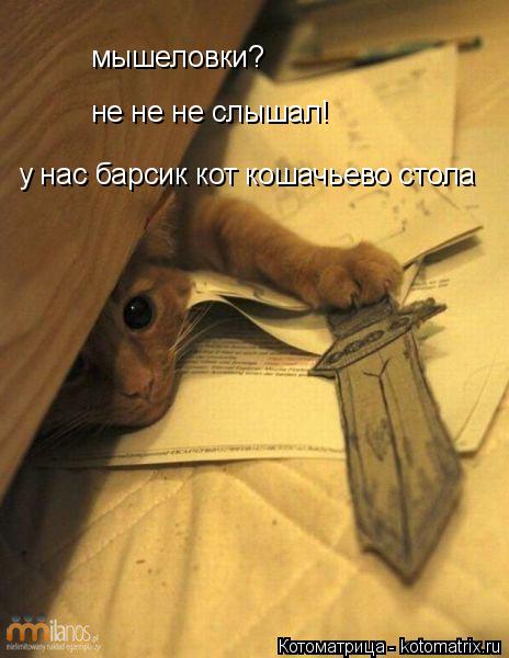 мышеловки? не не не слышал! не не не слышал! у нас барсик кот кошачьево стола... Котоматрица: мышеловки? не не не слышал! не не не слышал! у нас барсик кот кошачьево стола