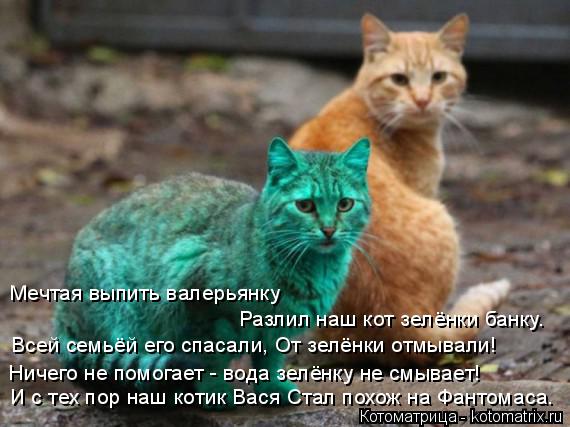 И с тех пор наш котик Вася Стал похож на Фантомаса. Ничего не помогает - вода зелёнку не смывает! Все... Котоматрица: И с тех пор наш котик Вася Стал похож на Фантомаса. Ничего не помогает - вода зелёнку не смывает! Всей семьёй его спасали, От зелёнки отмывали