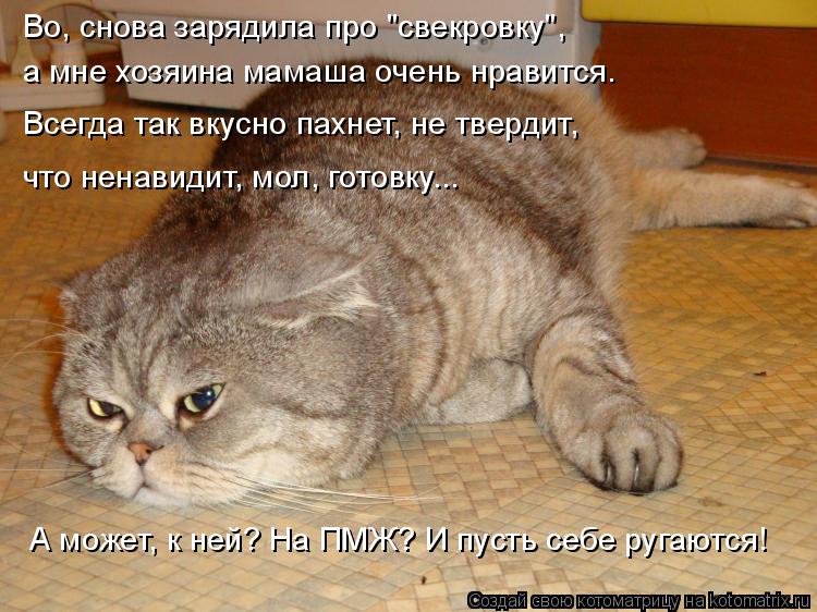 Котоматрица: Во, снова зарядила про "свекровку", а мне хозяина мамаша очень нравится. Всегда так вкусно пахнет, не твердит, что ненавидит, мол, готовку... А 