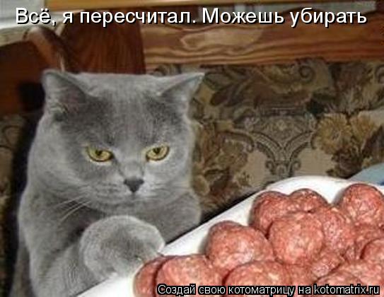 Всё, я пересчитал. Можешь убирать... Котоматрица: Всё, я пересчитал. Можешь убирать