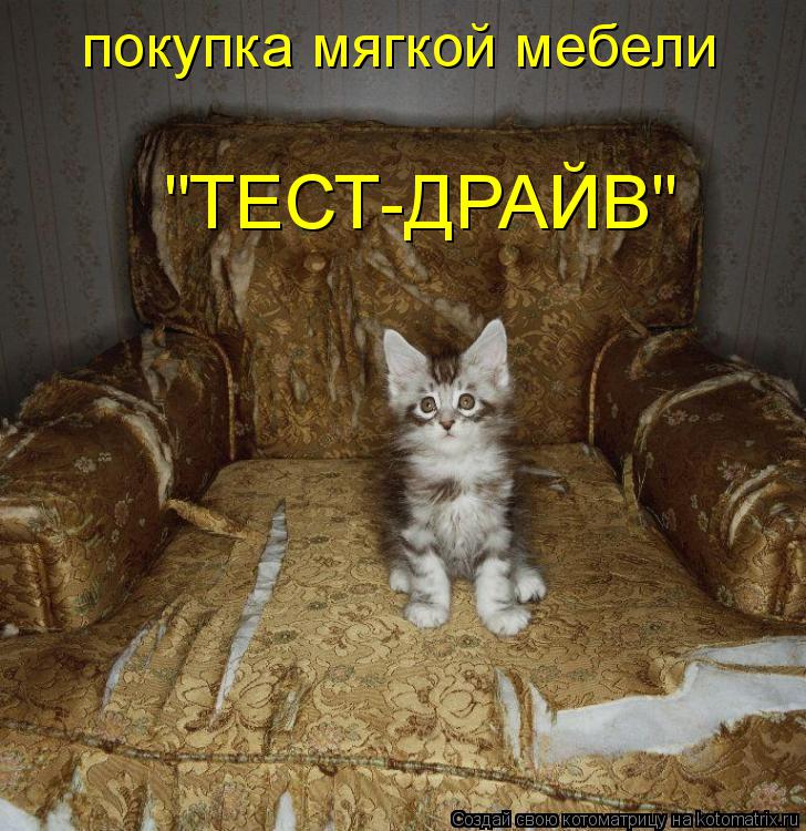 покупка мягкой мебели "ТЕСТ-ДРАЙВ"... Котоматрица: покупка мягкой мебели "ТЕСТ-ДРАЙВ"
