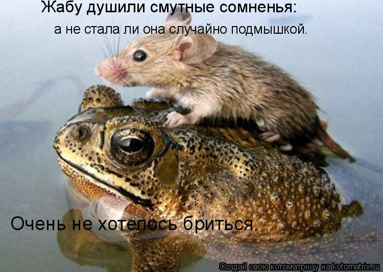Жабу душили смутные сомненья: а не стала ли она случайно подмышкой. Очень не хотелось бриться.... Котоматрица: Жабу душили смутные сомненья: а не стала ли она случайно подмышкой. Очень не хотелось бриться.