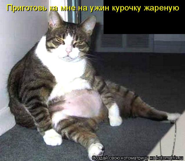 Приготовь ка мне на ужин курочку жареную... Котоматрица: Приготовь ка мне на ужин курочку жареную