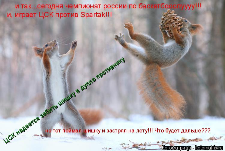 и так...сегодня чемпионат россии по баскетбооолуууу!!! и, играет ЦСК против Spartak!!! ЦСК надеется з... Котоматрица: и так...сегодня чемпионат россии по баскетбооолуууу!!! и, играет ЦСК против Spartak!!! ЦСК надеется забить шишку в дупло противнику но тот поймал