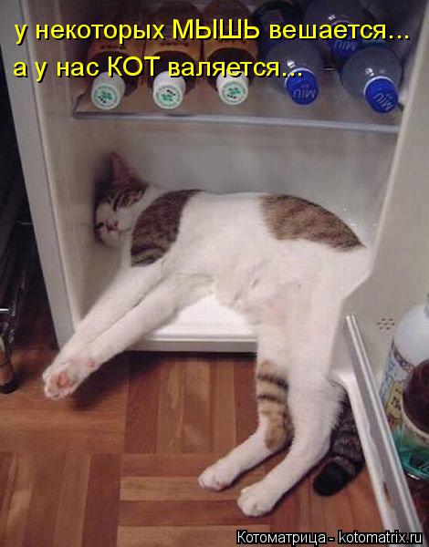 у некоторых МЫШЬ вешается... а у нас КОТ валяется...... Котоматрица: у некоторых МЫШЬ вешается... а у нас КОТ валяется...