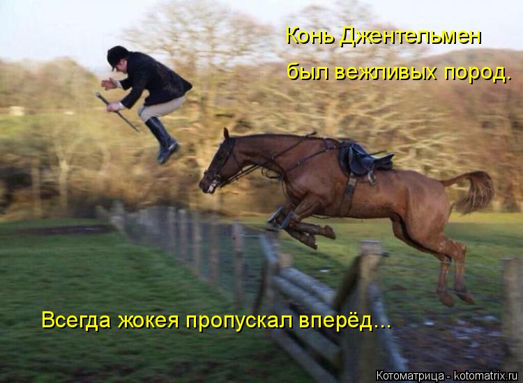 Конь Джентельмен был вежливых пород. Всегда жокея пропускал вперёд...... Котоматрица: Конь Джентельмен был вежливых пород. Всегда жокея пропускал вперёд...
