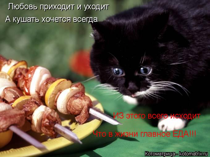 Котоматрица: Любовь приходит и уходит А кушать хочется всегда ИЗ этого всего исходит  Что в жизни главное ЕДА!!!