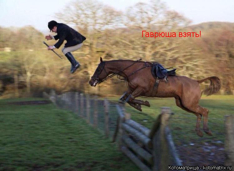 Котоматрица: Гаврюша взять!