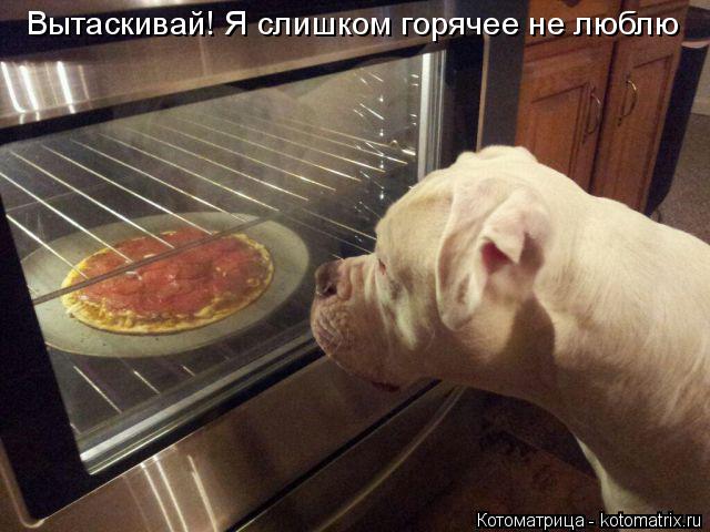 Котоматрица: Вытаскивай! Я слишком горячее не люблю