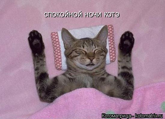 Котоматрица: спокойной ночи котэ