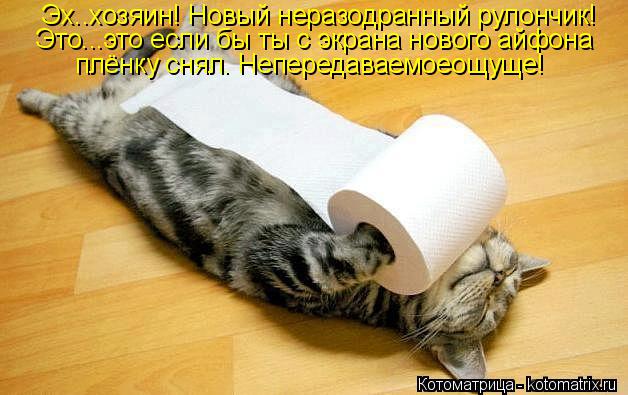 Котоматрица: Эх..хозяин! Новый неразодранный рулончик! Это...это если бы ты с экрана нового айфона  плёнку снял. Непередаваемоеощуще!