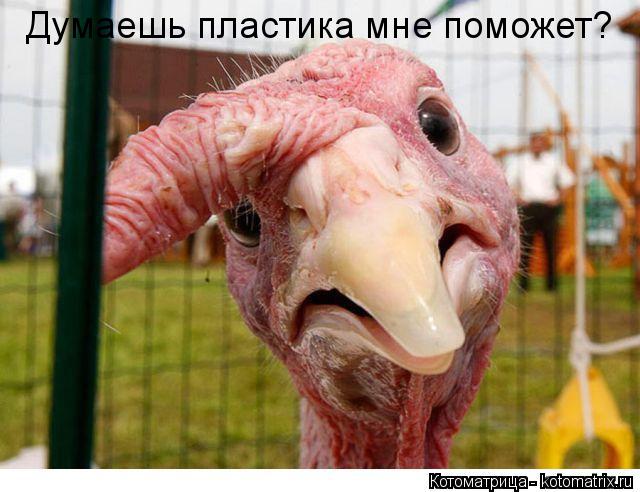 Котоматрица: Думаешь пластика мне поможет?