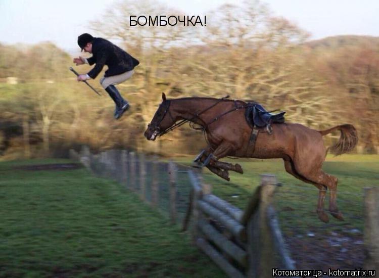 Котоматрица: БОМБОЧКА!