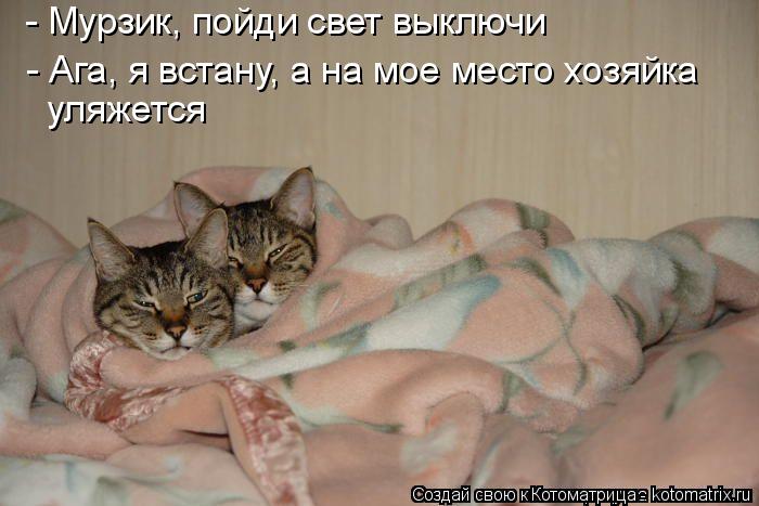 Котоматрица: - Мурзик, пойди свет выключи - Ага, я встану, а на мое место хозяйка  уляжется