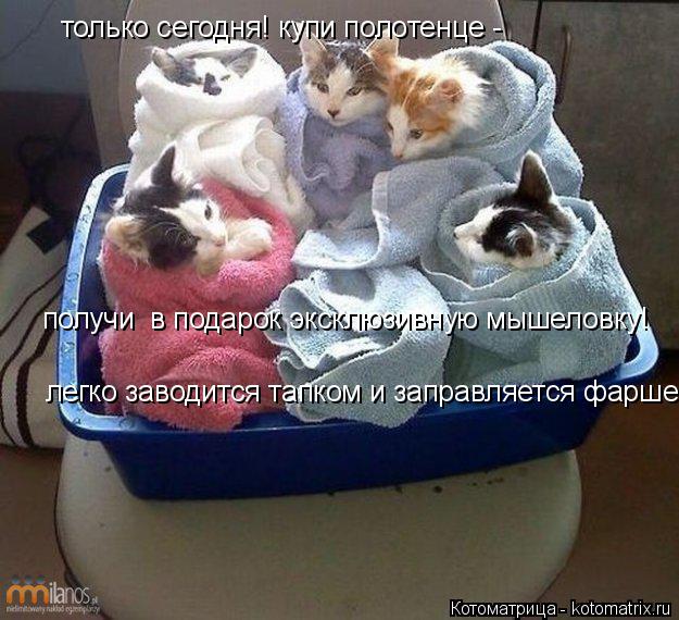 Котоматрица: только сегодня! купи полотенце - получи  в подарок эксклюзивную мышеловку! легко заводится тапком и заправляется фаршем!