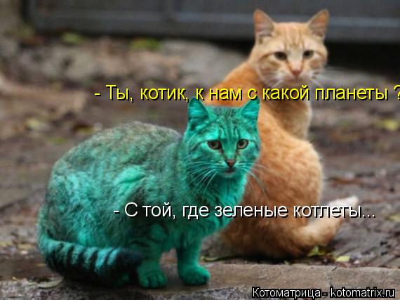 - Ты, котик, к нам с какой планеты ? - С той, где зеленые котлеты...... Котоматрица: - Ты, котик, к нам с какой планеты ? - С той, где зеленые котлеты...