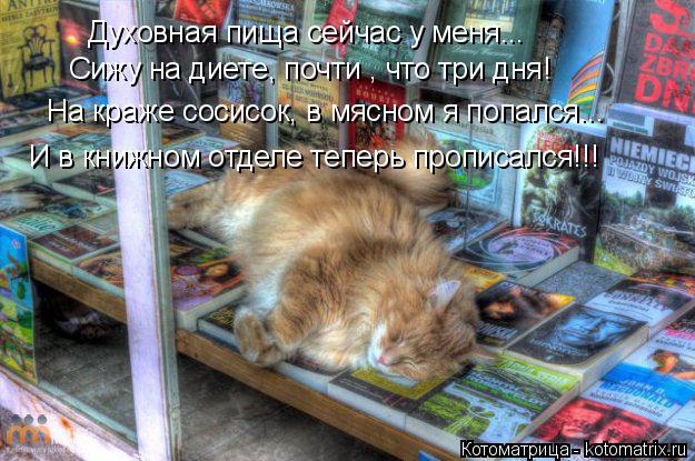Котоматрица: Сижу на диете, почти , что три дня! На краже сосисок, в мясном я попался... И в книжном отделе теперь прописался!!! Духовная пища сейчас у меня...