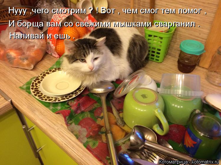 Котоматрица: Нууу ,чего смотрим ? ! Вот , чем смог тем помог , И борща вам со свежими мышками сварганил . Наливай и ешь .