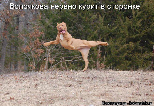 Котоматрица: Волочкова нервно курит в сторонке