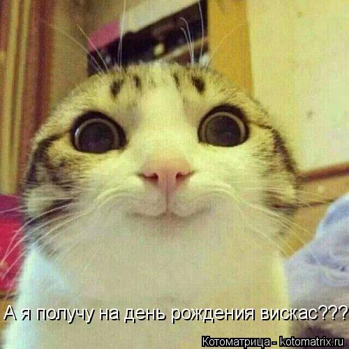 Котоматрица: А я получу на день рождения вискас???