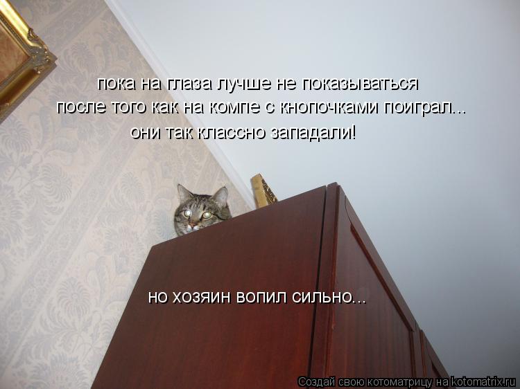 Котоматрица: пока на глаза лучше не показываться после того как на компе с кнопочками поиграл... они так классно западали! но хозяин вопил сильно...