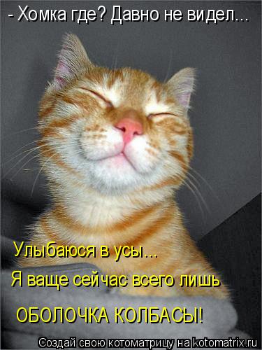 - Хомка где? Давно не видел... Я ваще сейчас всего лишь ОБОЛОЧКА КОЛБАСЫ! Улыбаюся в усы...... Котоматрица: - Хомка где? Давно не видел... Я ваще сейчас всего лишь ОБОЛОЧКА КОЛБАСЫ! Улыбаюся в усы...