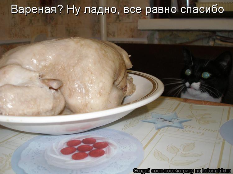Котоматрица: Вареная? Ну ладно, все равно спасибо
