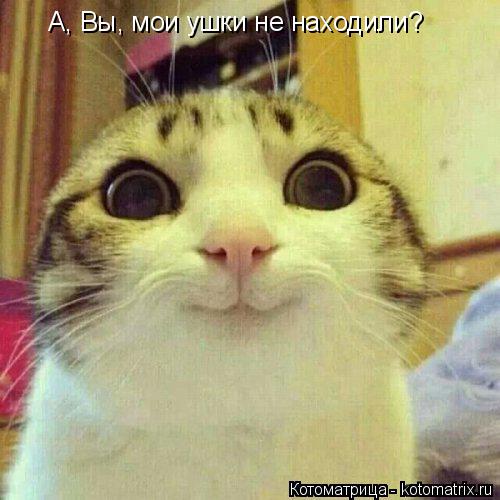Котоматрица: А, Вы, мои ушки не находили?