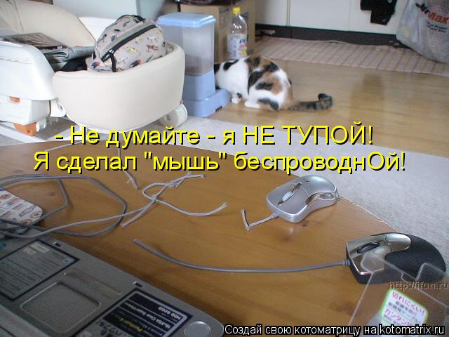 Котоматрица: - Не думайте - я НЕ ТУПОЙ! Я сделал "мышь" беспроводнОй!