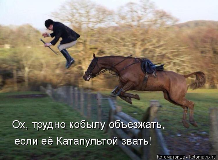 Котоматрица: Ох, трудно кобылу объезжать, если её Катапультой звать!